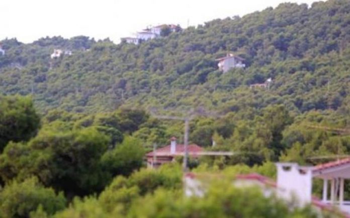 ΠΟΛΕΟΔΟΜΙΚΑ
