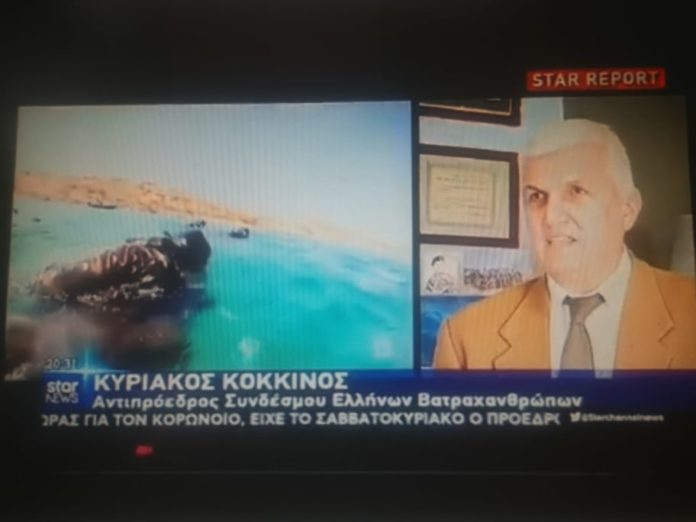 ΚΥΡΙΑΚΟΣ ΚΟΚΚΙΝΟΣ STAR